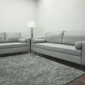 Paulina Loveseat in Slate