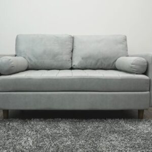 Paulina Loveseat in Slate