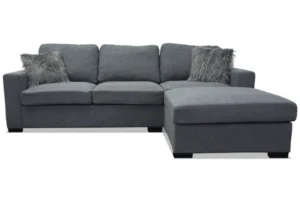 Cohen Sectional