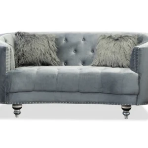 Jalessa Loveseat in Gray