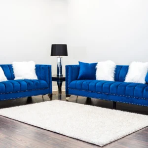 Lexi Sofa and Loveseat