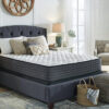 Limited Edition Firm Queen Mattress