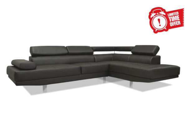 Locust Sectional in Gray