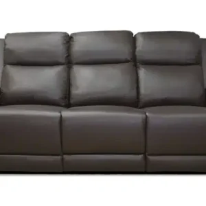 Hayden Reclining Sofa in Brown