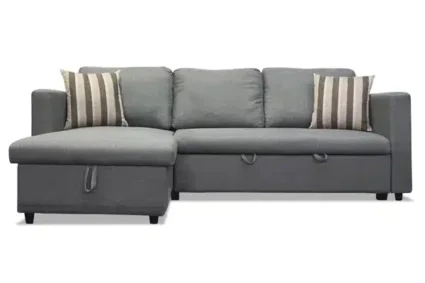 Cecilia 2pc Sectional with Pull out Bed