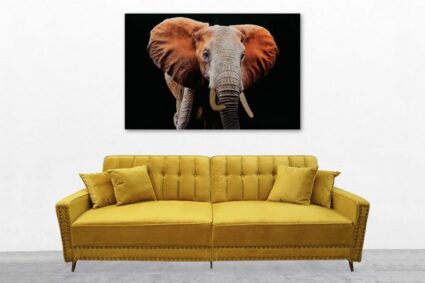 Art - Tempered Glass - Elephant