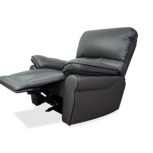 Mahi Recliner in Gray