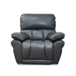 Mahi Recliner in Gray