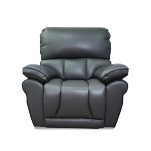 Mahi Recliner in Gray