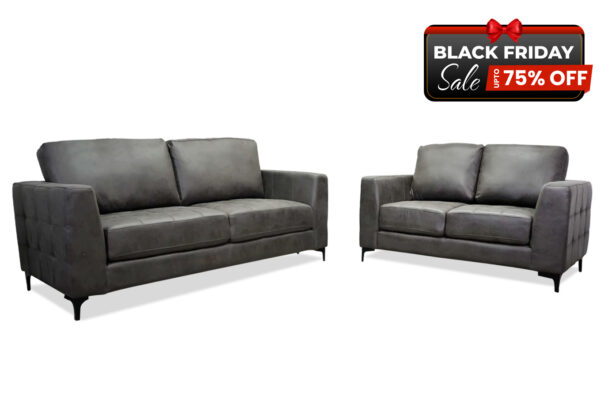 Zepp Sofa and Loveseat in Gray - BF