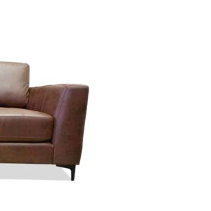 Zepp Sofa & Loveseat in Brown