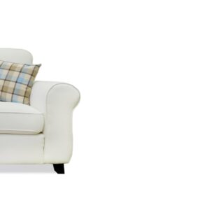 Soni Sofa and Loveseat