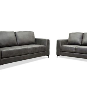 Zepp Sofa & Loveseat in Gray