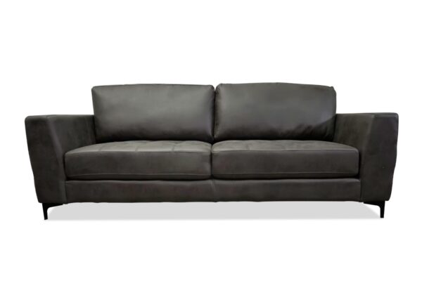 Zepp Sofa & Loveseat in Gray