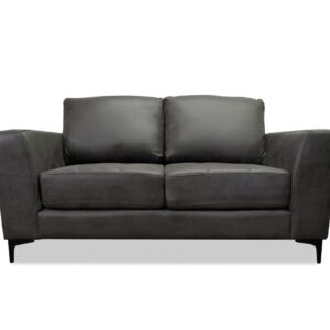 Zepp Sofa & Loveseat in Gray