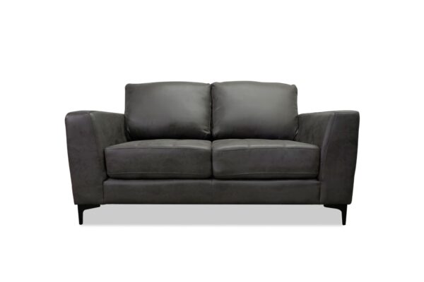 Zepp Sofa & Loveseat in Gray