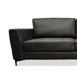 Zepp Sofa & Loveseat in Gray