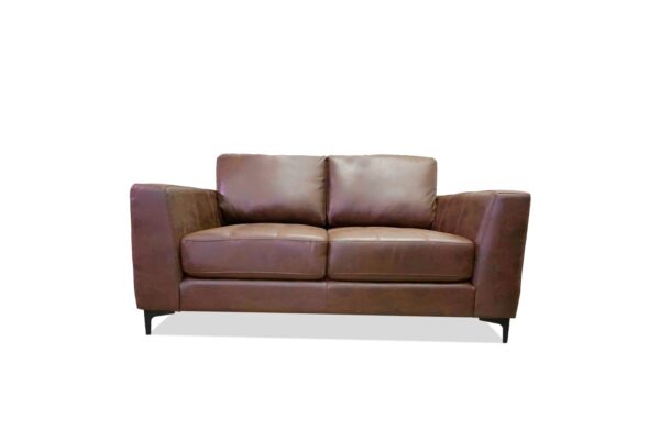 Zepp Sofa & Loveseat in Brown