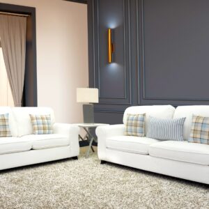 Soni Sofa and Loveseat