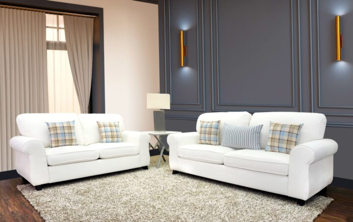 Soni Sofa and Loveseat