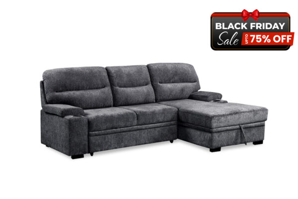 Cyrilk Sectional with Pull out Bed - BF