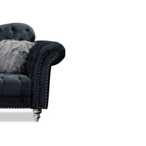 Scarlett Loveseat in Black - 02