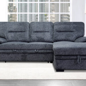 Popular Sectional 02