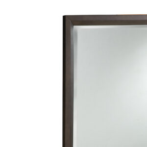 ASHER MIRROR CLOSEUP