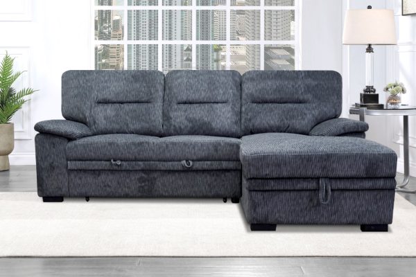 Popular Sectional 02